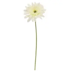 Blooming Daisy Stem White