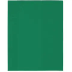 Plymor 8" x 10", Green 2 Mil Flat Open Plastic Poly Bags
