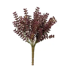 Bursting Astilbe Bush 10.5" Plum