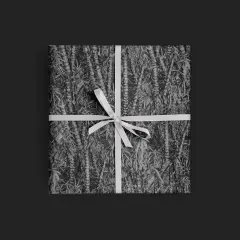 Dark Tropical Gift Wrap Collection