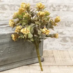 Late Bloomer Bush Cream