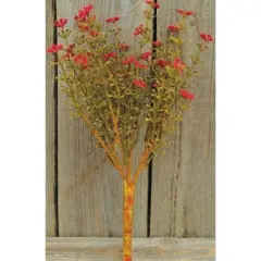 Fall Astilbe Bush Red