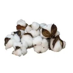 Cotton Ball Bag with 12 Puffy Cotton Balls Attached to Dried Brown Petals