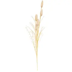 Floral Spray with Bunny Tails and Golden Grass Stem
