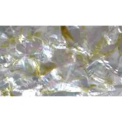 Shell Veneer, 5.5 x 9.5 inches | WMOP, BMOP, Abalone | Includes 3M Adhesive Sheet for Application, Great for Inlay Projects Natural Gold Fleck