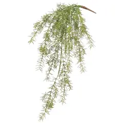 Allstate Soft Sprengeri Artificial Hanging Spray - 26" - Green