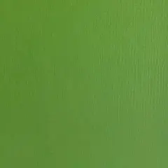 PARSLEY - Textured 12x12 Cardstock - Encore Paper