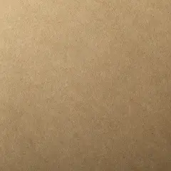 Brown Bag Kraft 11" x 17" 65# Cover Sheets Bulk Pack of 100 Sheets