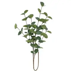 24"Tall Snowy Silver Dollar Spray with Flexible Brown Wrapped Stem