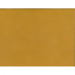 Silhouette Adhesive Cardstock Pumpkin