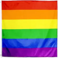 Gay Pride Flag - Rainbow Flag Decoration 2x3Fts