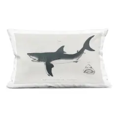 Stupell Industries Detailed Shark Diagram Decorative Printed Pillow design by Phillipa Katz, 14 x 7 x 20