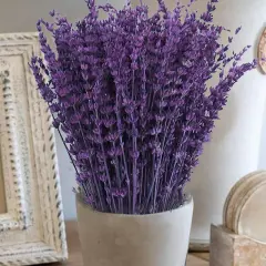 Dried Purple Lavender Flowers Bundle-Dried Preserved Lavender Bouquet 8-12" for Shower Weeding Home Vase Decor, Crafts, Aromatherapy, Fragrance, Fresh Silk Dry Live Plants, 90g(3.17oz)