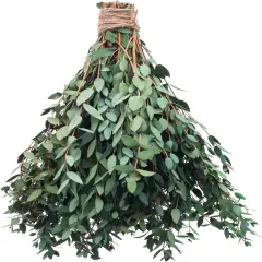 Large Dried Eucalyptus Stems - Real Preserved Fresh Eucalyptus Plant for Arrangement