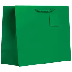 Pack/6: Matte Green Gift Bag