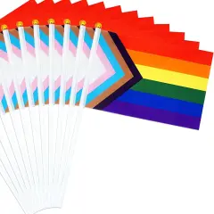 50 Pack Pride Flags Progress Rainbow Pride Flag Small Flag Pride Month Accessories Gay LGBTQ Stick Flag USA American Rainbow Flag Hand Held Flags Decorations for Parades Rainbow Festival