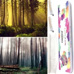 ,2 Pack Rolled Canvas Wall Art Easy Painting by Numbers Kit-12x16inch(715-716)