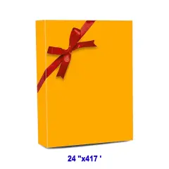 Classic Solid Wrapping Paper 24" x 417' 60 lbs for All Your Gifts