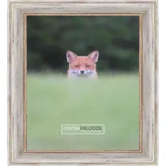 Photo Size Weathered White Picture Frame - UV Acrylic, Foam Board Backing, Hanging Hardware