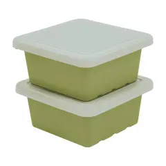Square Bin with Lid, Storage Containers, 2-Pack Fern Green