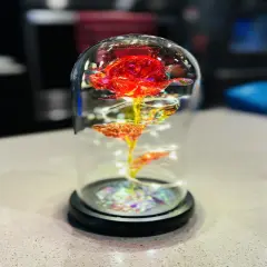 Light Up Red Rose in A Glass Birthday Gift for Woman Mothers Day Flowers Gift for Mom Rose Flower Gift for Her Anniversary Gift Preserved Flowers