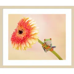 Hanging On IX by PHBurchett Wood Framed Wall Art Print