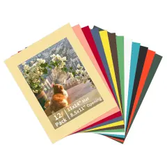 ZBEIVAN 12 Packs Mixed Colors 11x14 Picture Frame Mats for 8.5x11 Photos, Artworks and Prints, White Core Bevel Cut Frame Mattes