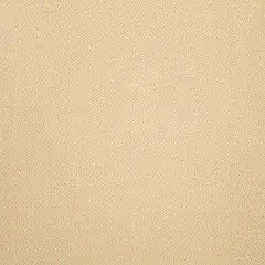 Clyde Durable 100% Polyester Fabric for High Traffic Upholstery Eggshell