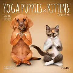 Yoga Puppies & Kittens Together OFFICIAL | 2026 7 x 14 Inch (Hanging) Monthly Mini Wall Calendar