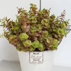 8PCS Artificial Fall Eucalyptus &ndash; UV Resistant Fake Greenery for Porch & Autumn D&eacute;cor