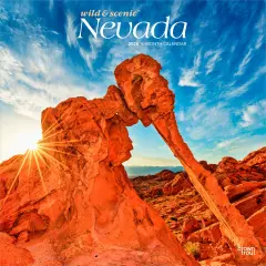 Nevada Wild & Scenic | 2026 12 x 24 Inch (Hanging) Monthly Square Wall Calendar | Plastic-Free