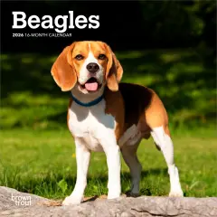 Beagles | 2026 7 x 14 Inch (Hanging) Monthly Mini Wall Calendar