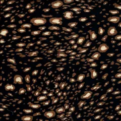 1 Yard Brushed DTY Animal Print Knit Fabric 170 GSM, 58/60&Prime; Wide Polyester Spandex Blend BLACK