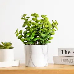 Northlight Artificial Privet Plant with Faux Marble Pot - 8.5" - Green