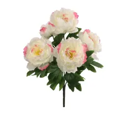 White Pink Peony Bush w/ 5 Silk Blooms 20" - 2025 Spring Collection