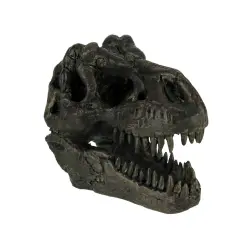 Tyrannosaurus Rex Dinosaur Head Fossil Statue Small