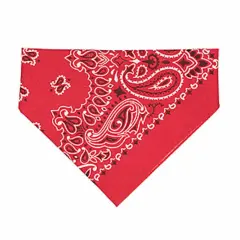 LAT Apparel&reg; Doggie Bandana Red Paisley - rdp