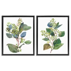 Stupell Industries Soft Eucalyptus Plant Ombre Leaves Framed Floater Canvas Wall Art Black Floater Frame
