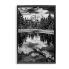 Stupell Industries Black & White Forest Reflection Framed Floater Canvas Wall Art Design by Rick Berk