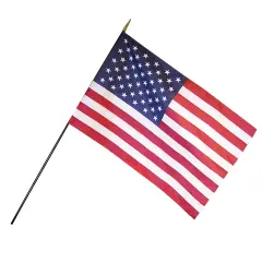 Empire Brand U.S. Classroom Flag with Staff, 12" x 18"