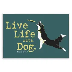 Stupell Industries Dog Playing Fetch Phrase Wall Plaque Art Design by Dog Is Good