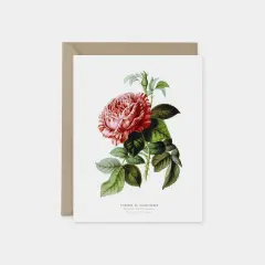 Custom Art Cards, Vintage Botanical Card