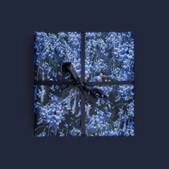 Blue Tropical Floral Gift Wrap