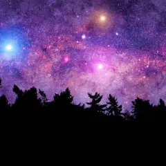 Beneath the Stars - Premium Fragrance Oil