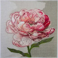 Counted Cross-stitch kit -Graceful beauty AH-256