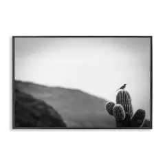 Stupell Industries On Guard Bird & Cactus Framed Giclee Wall Art Design by Wild Apple