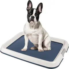 IRIS USA Square Pet Training Pad Holder