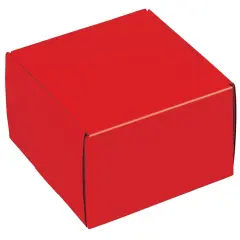 Pack/6: Red Decorative Mailer - 8 x 8 x 3"