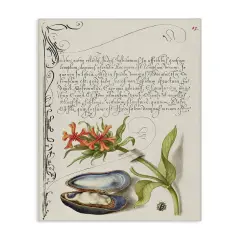 Stupell Industries Oyster & Plant Study Canvas Wall Art Design by Melissa Wang