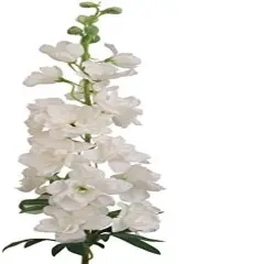White 37" Delphinium Stem &ndash; Premium Silk, Realistic Artificial Flower Decor